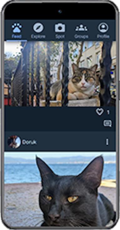 Screenshot showing pictures of cats from Marcel the Cat app