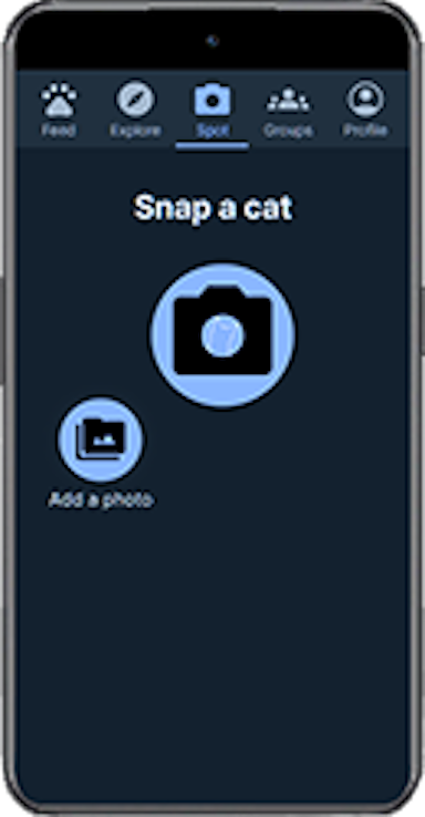 Screenshot of Marcel the Cat app showing how to upload a picture